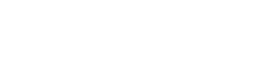 ViSankya Logo